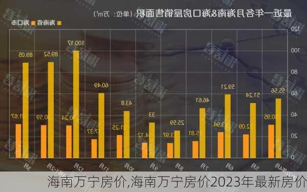 海南万宁房价,海南万宁房价2023年最新房价-第2张图片-阿丹旅游网