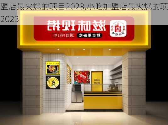 加盟店最火爆的项目2023,小吃加盟店最火爆的项目2023-第2张图片-阿丹旅游网