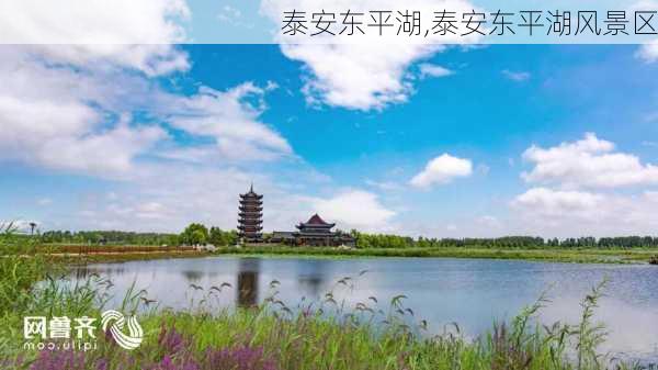 泰安东平湖,泰安东平湖风景区-第2张图片-阿丹旅游网