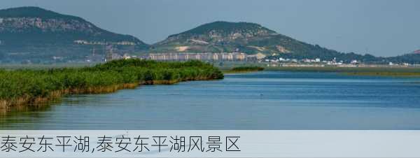 泰安东平湖,泰安东平湖风景区-第3张图片-阿丹旅游网