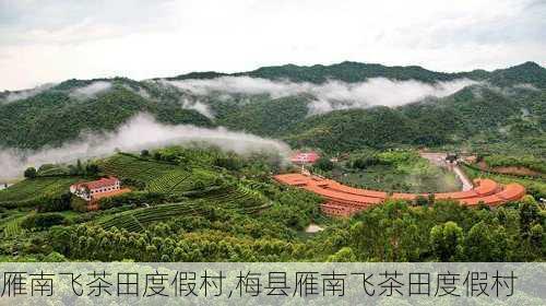 雁南飞茶田度假村,梅县雁南飞茶田度假村-第2张图片-阿丹旅游网