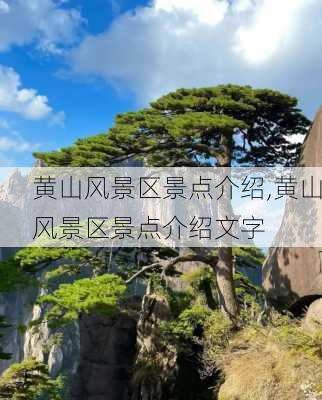 黄山风景区景点介绍,黄山风景区景点介绍文字-第3张图片-阿丹旅游网