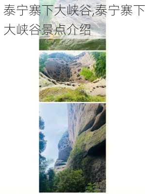 泰宁寨下大峡谷,泰宁寨下大峡谷景点介绍-第3张图片-阿丹旅游网