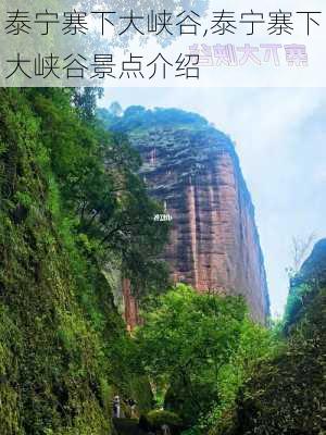 泰宁寨下大峡谷,泰宁寨下大峡谷景点介绍-第2张图片-阿丹旅游网