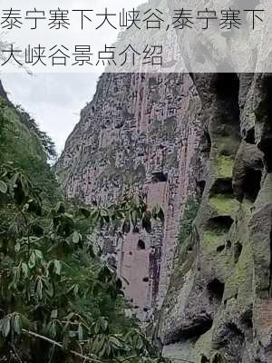 泰宁寨下大峡谷,泰宁寨下大峡谷景点介绍