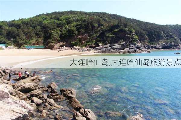 大连哈仙岛,大连哈仙岛旅游景点-第3张图片-阿丹旅游网