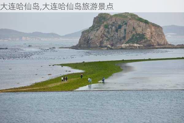 大连哈仙岛,大连哈仙岛旅游景点