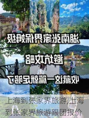 上海到张家界旅游,上海到张家界旅游跟团报价-第1张图片-阿丹旅游网