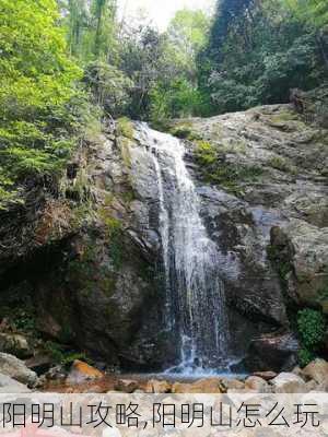 阳明山攻略,阳明山怎么玩-第3张图片-阿丹旅游网