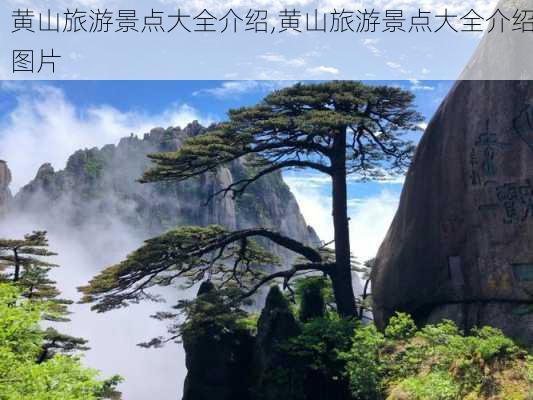 黄山旅游景点大全介绍,黄山旅游景点大全介绍图片-第2张图片-阿丹旅游网