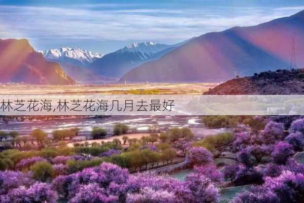 林芝花海,林芝花海几月去最好-第1张图片-阿丹旅游网