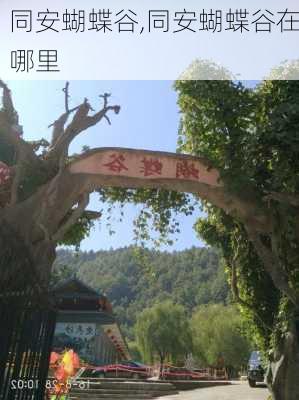 同安蝴蝶谷,同安蝴蝶谷在哪里-第2张图片-阿丹旅游网