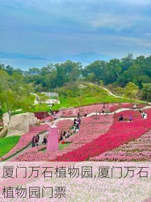 厦门万石植物园,厦门万石植物园门票-第3张图片-阿丹旅游网