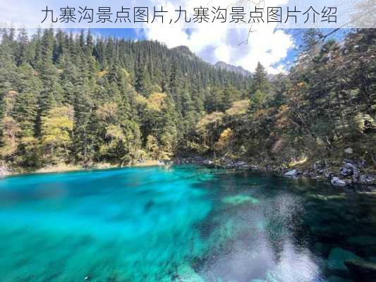 九寨沟景点图片,九寨沟景点图片介绍