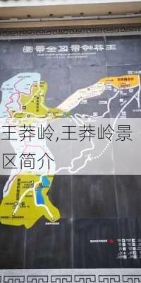 王莽岭,王莽岭景区简介-第2张图片-阿丹旅游网