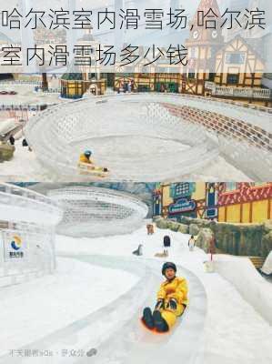 哈尔滨室内滑雪场,哈尔滨室内滑雪场多少钱-第2张图片-阿丹旅游网