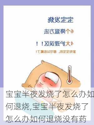 宝宝半夜发烧了怎么办如何退烧,宝宝半夜发烧了怎么办如何退烧没有药-第1张图片-阿丹旅游网