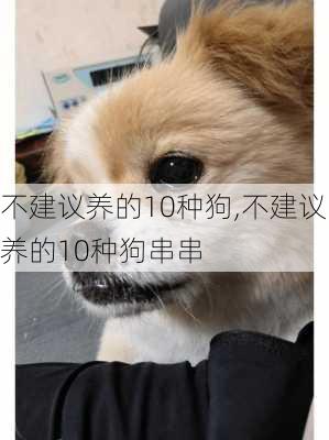 不建议养的10种狗,不建议养的10种狗串串