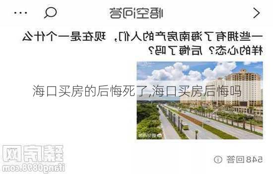 海口买房的后悔死了,海口买房后悔吗-第1张图片-阿丹旅游网