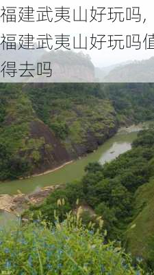 福建武夷山好玩吗,福建武夷山好玩吗值得去吗