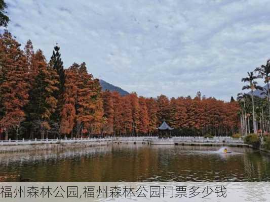 福州森林公园,福州森林公园门票多少钱-第2张图片-阿丹旅游网