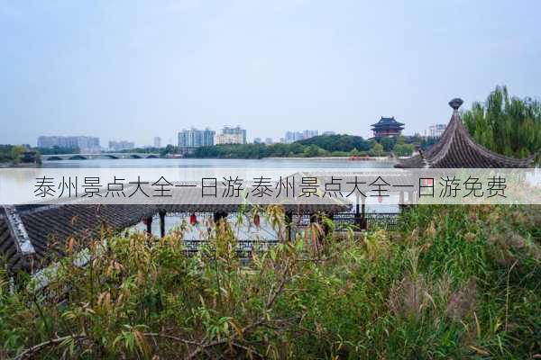 泰州景点大全一日游,泰州景点大全一日游免费-第2张图片-阿丹旅游网