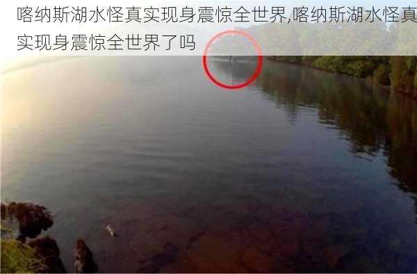 喀纳斯湖水怪真实现身震惊全世界,喀纳斯湖水怪真实现身震惊全世界了吗-第3张图片-阿丹旅游网