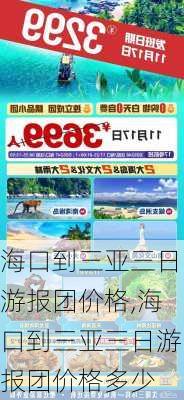 海口到三亚三日游报团价格,海口到三亚三日游报团价格多少-第3张图片-阿丹旅游网