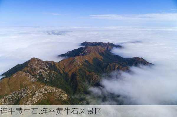 连平黄牛石,连平黄牛石风景区-第2张图片-阿丹旅游网