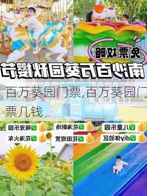 百万葵园门票,百万葵园门票几钱-第3张图片-阿丹旅游网