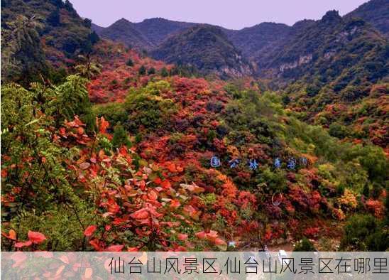 仙台山风景区,仙台山风景区在哪里