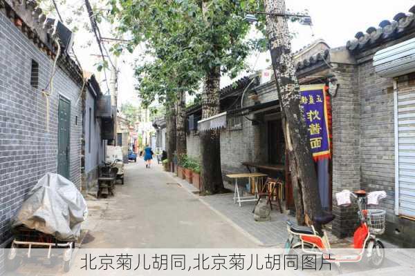 北京菊儿胡同,北京菊儿胡同图片-第3张图片-阿丹旅游网