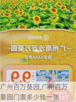 广州百万葵园,广州百万葵园门票多少钱一张