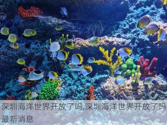 深圳海洋世界开放了吗,深圳海洋世界开放了吗最新消息-第1张图片-阿丹旅游网