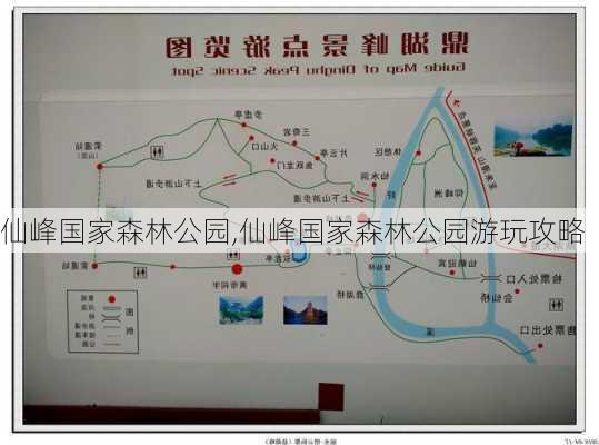 仙峰国家森林公园,仙峰国家森林公园游玩攻略-第2张图片-阿丹旅游网