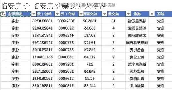 临安房价,临安房价暴跌无人接盘