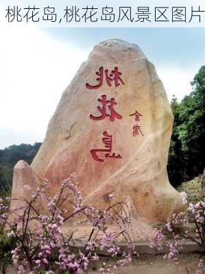 桃花岛,桃花岛风景区图片-第3张图片-阿丹旅游网