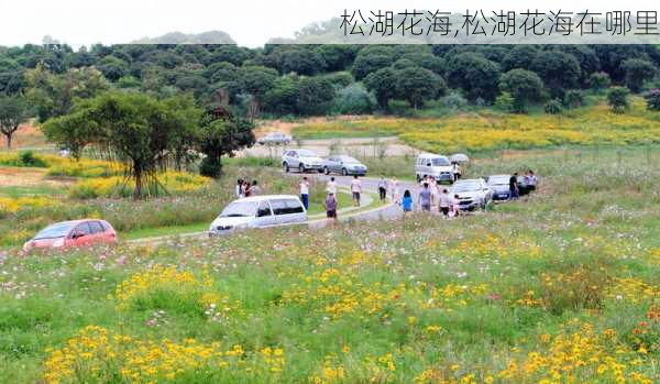 松湖花海,松湖花海在哪里-第3张图片-阿丹旅游网