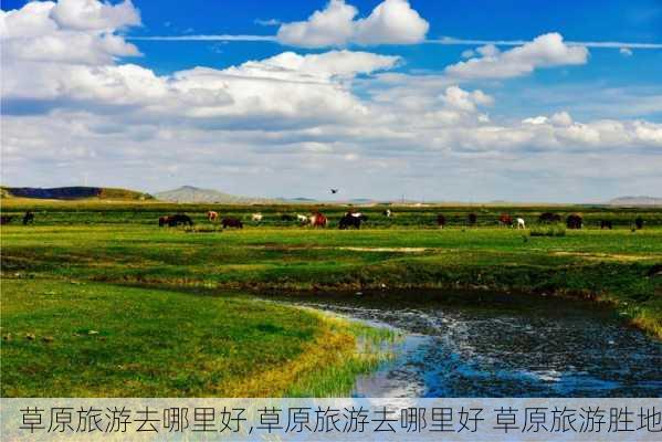 草原旅游去哪里好,草原旅游去哪里好 草原旅游胜地-第3张图片-阿丹旅游网