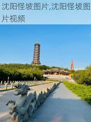 沈阳怪坡图片,沈阳怪坡图片视频-第2张图片-阿丹旅游网