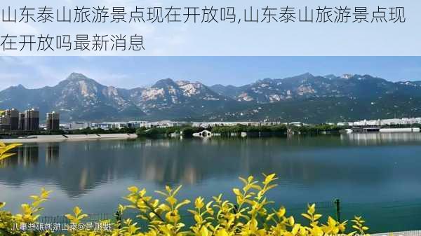 山东泰山旅游景点现在开放吗,山东泰山旅游景点现在开放吗最新消息-第2张图片-阿丹旅游网