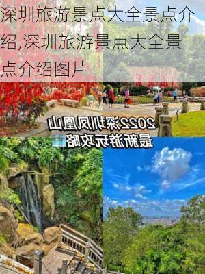 深圳旅游景点大全景点介绍,深圳旅游景点大全景点介绍图片-第2张图片-阿丹旅游网