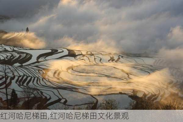 红河哈尼梯田,红河哈尼梯田文化景观-第3张图片-阿丹旅游网