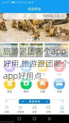 旅游跟团哪个app好用,旅游跟团哪个app好用点-第2张图片-阿丹旅游网