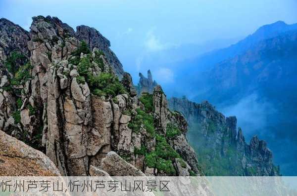 忻州芦芽山,忻州芦芽山风景区