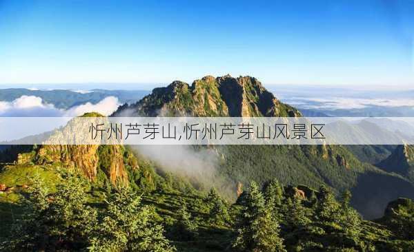 忻州芦芽山,忻州芦芽山风景区-第2张图片-阿丹旅游网