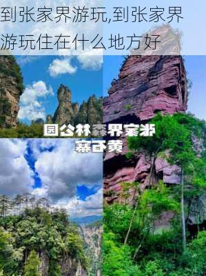 到张家界游玩,到张家界游玩住在什么地方好-第2张图片-阿丹旅游网