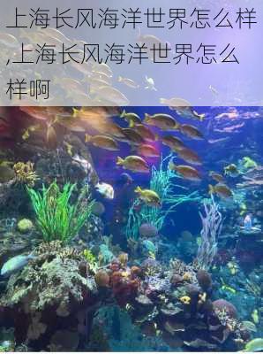 上海长风海洋世界怎么样,上海长风海洋世界怎么样啊