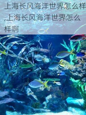 上海长风海洋世界怎么样,上海长风海洋世界怎么样啊-第2张图片-阿丹旅游网