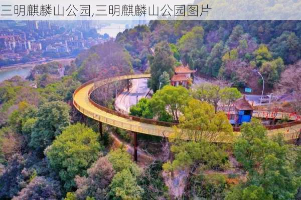 三明麒麟山公园,三明麒麟山公园图片-第1张图片-阿丹旅游网